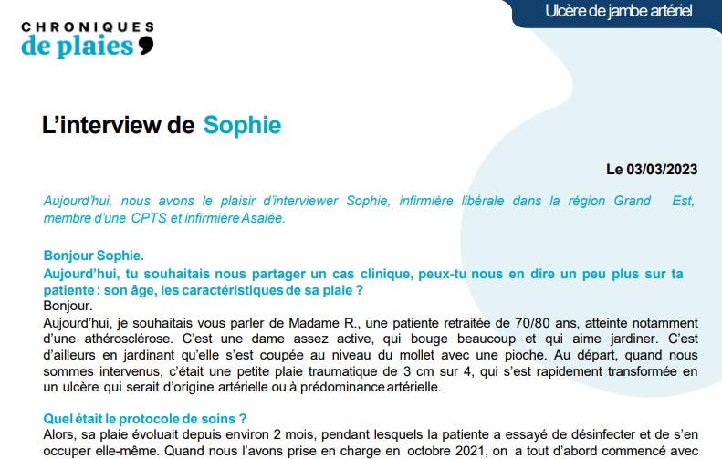 extrait de l'interview de Sophie, IDE