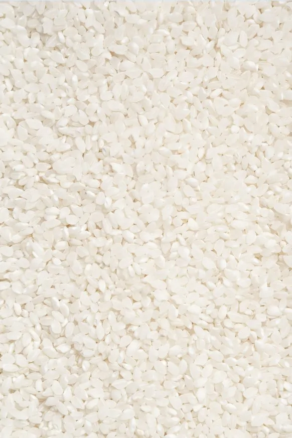 graine de riz blanc